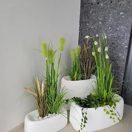 Polanki Aqua Appartamento