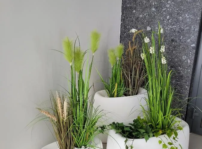 Polanki Aqua Appartamento